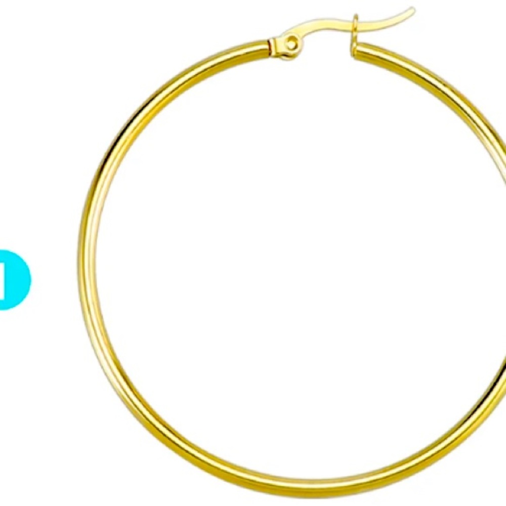 Earrings hoops